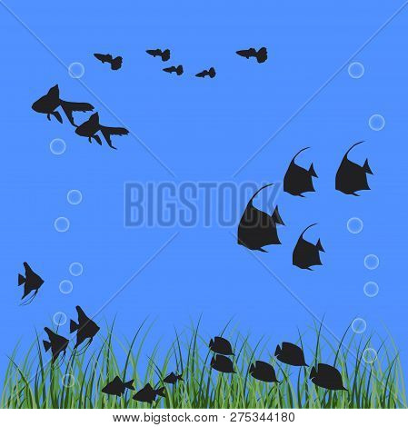 Background With Silhouettes Of Fishes, The Look Of An Aquarium