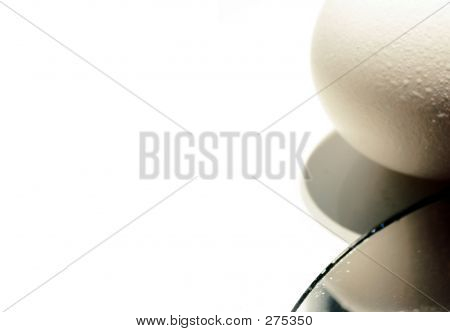 Eier