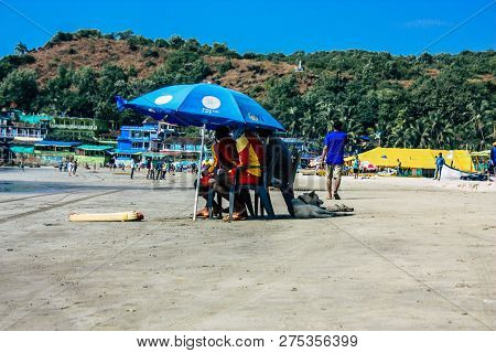 Arambol Goa India November 24, 2018 View Of An Unknown Goan Lifeguard Watching The Beach In Arambol 