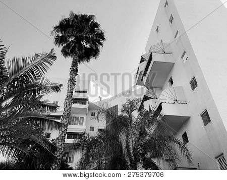 Residential Buildings And Surrounded With Green Plants In  Rishon Le Zion.