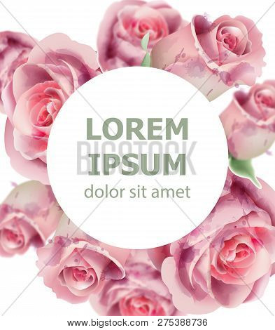 Light Pink Roses Watercolor Round Card Vector. Invitation Card, Wedding Ceremony, Delicate Postcard,