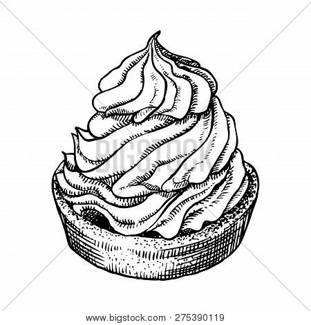 Delicious Hand Drawn Creamy Biscuit. Engraving Style Pen Pencil Painting Retro Vintage Vector Linear