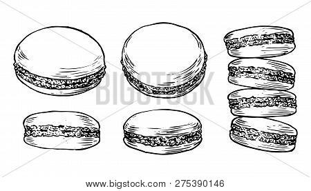 Delicious Hand Drawn French Macarons. Engraving Style Pen Pencil Painting Retro Vintage Vector Linea