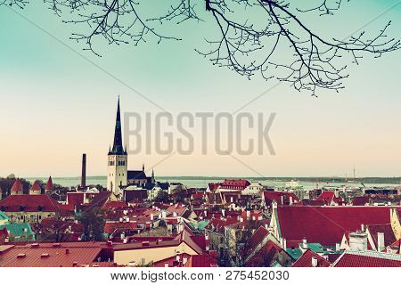 Beautiful View To The Old Rown Of Tallinn From The City Wall At Sunset