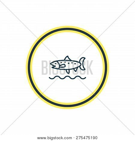 Illustration Of Trout Fish Icon Line. Beautiful Nautical Element Also Can Be Used As Codfish Icon El