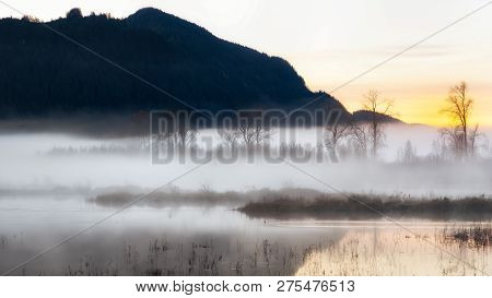 Sunrise At Pitt-addington Marsh One Morning In Pitt Meadows