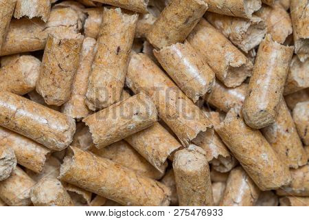 Close-up Macro Filler For Cat Pet Pet Toilet. Pressed Wood Sawdust Egology Clean, No Smell For The H