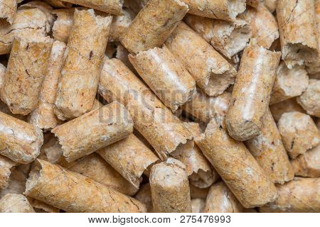 Close-up Macro Filler For Cat Pet Pet Toilet. Pressed Wood Sawdust Egology Clean, No Smell For The H