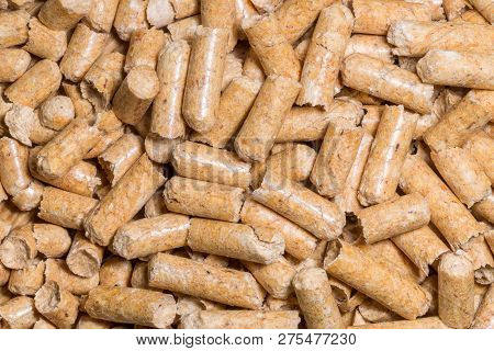 Close-up Macro Filler For Cat Pet Pet Toilet. Pressed Wood Sawdust Egology Clean, No Smell For The H