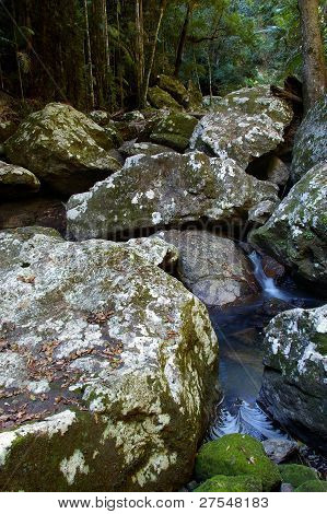 Kondalilla fÃ¤llt Hinterland Sunshine coast