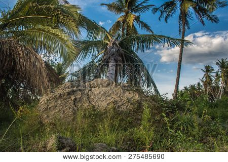 Earthquake And Liquefaction Of October 28, 2018 In Indonesia Central Sulawesi