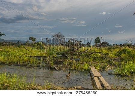 Earthquake And Liquefaction Of October 28, 2018 In Indonesia Central Sulawesi