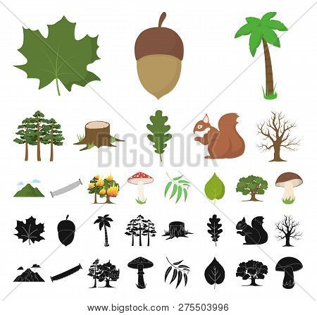 Forest And Nature Cartoon, Black Icons In Set Collection For Design. Forest Life Vector Symbol Stock