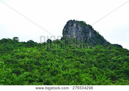 Large rocky hill with tree / stone Mountain in Thailand