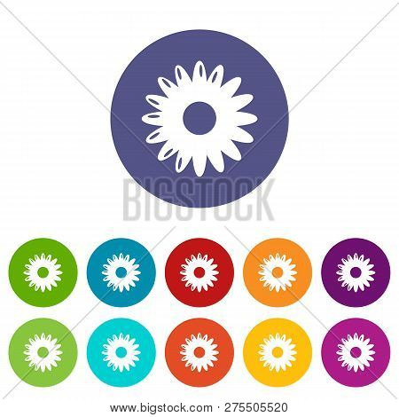 Honey Flower Icons Color Set For Any Web Design On White Background