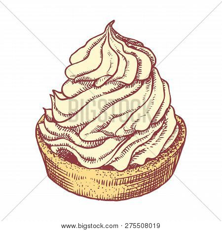 Delicious Hand Drawn Creamy Biscuit. Engraving Style Pen Pencil Painting Retro Vintage Vector Linear
