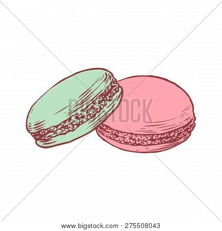 Delicious Hand Drawn French Macarons. Engraving Style Pen Pencil Painting Retro Vintage Vector Linea