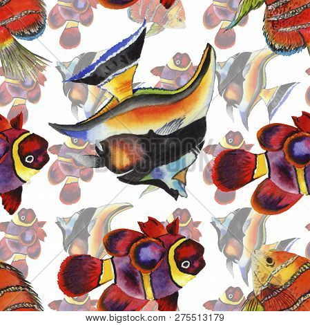 Watercolor Aquatic Underwater Colorful Tropical Fish Illustration Set. Seamless Background Pattern.