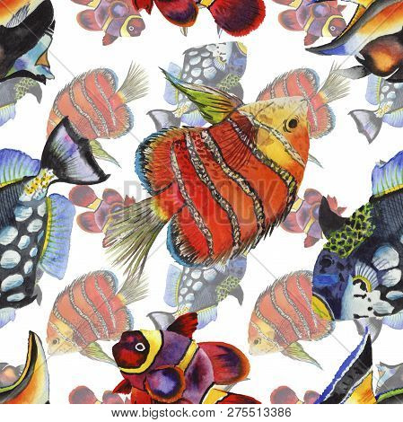 Watercolor Aquatic Underwater Colorful Tropical Fish Illustration Set. Seamless Background Pattern.