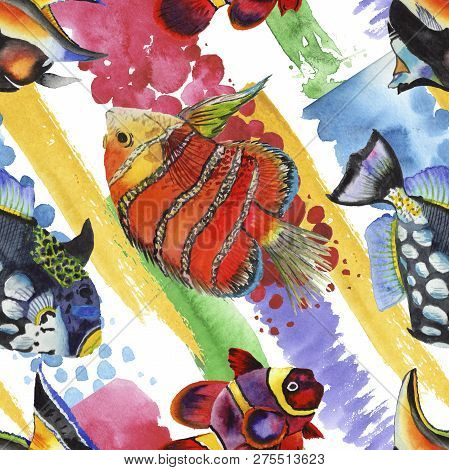 Watercolor Aquatic Underwater Colorful Tropical Fish Illustration Set. Seamless Background Pattern.