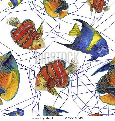 Watercolor Aquatic Underwater Colorful Tropical Fish Illustration Set. Seamless Background Pattern.