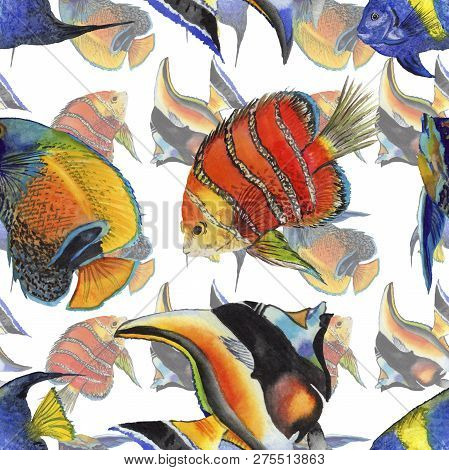 Watercolor Aquatic Underwater Colorful Tropical Fish Illustration Set. Seamless Background Pattern.