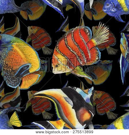 Watercolor Aquatic Underwater Colorful Tropical Fish Illustration Set. Seamless Background Pattern.