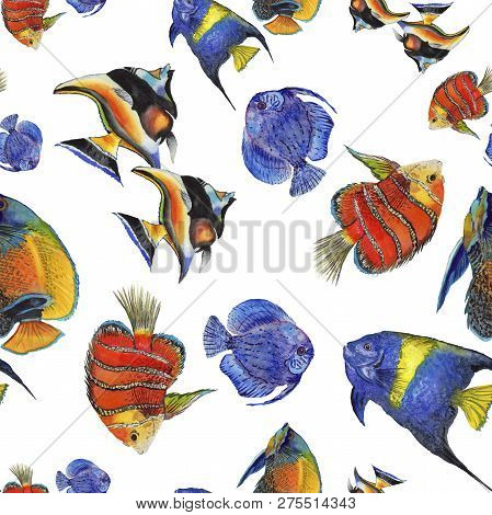 Watercolor Aquatic Underwater Colorful Tropical Fish Illustration Set. Seamless Background Pattern.