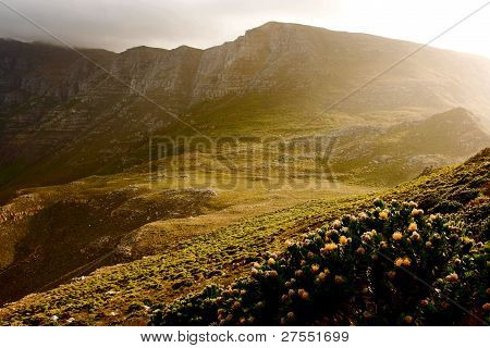 Alba di montagna