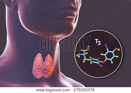Molecule Of Triiodothyronine, T3, A Hormone Produced By Thyroid Gland, 3d Illustration