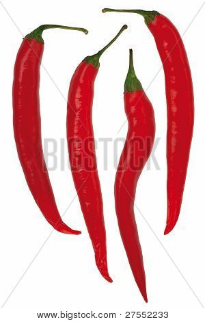 Rode Chili peper