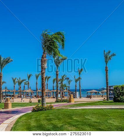 View Of The Hotel’s Recreation Area On The Beach And The Sea Shore, Palm Trees Under The Blue Sky Of