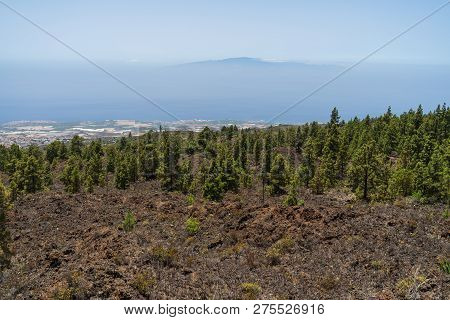 View Of The Western Slope Of The Island. Viewpoint - Mirador De Chirche. Tenerife. Canary Islands. S