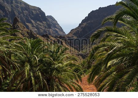 Vew Of The Macizo De Teno Mountains And Masca Gorge. Tenerife. Canary Islands. Spain.