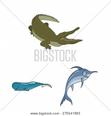 Vector Illustration Of Water And Drop Symbol. Set Of Water And Splash Vector Icon For Stock.