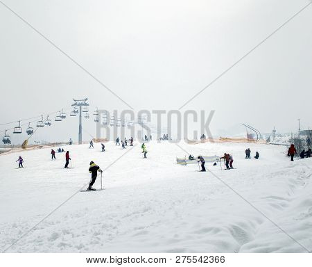 Skiers Train On The Ski Track 7 A  Bukovel, The Theme Of Mountain Sports, Skiing, Bukovel, Carpathia