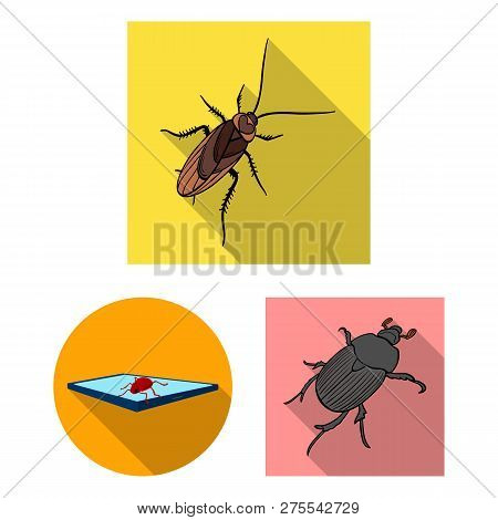 Vector Illustration Of Insect And Beetle Sign. Set Of Insect And Halloween Vector Icon For Stock.