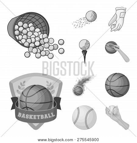 Vector Design Of Ball And Soccer Sign. Set Of Ball And Basketball Stock Vector Illustration.