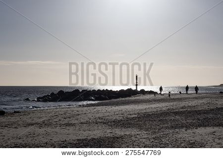 Dog Walkers On The Beach Early On A Cold Winter Morning. People And Dogs On A Walk Along The East Co