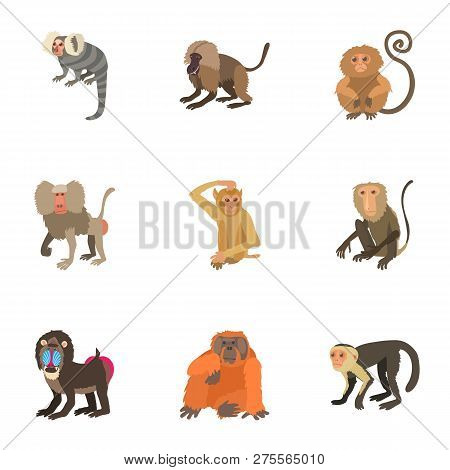 Simian Icons Set. Cartoon Set Of 9 Simian Icons For Web Isolated On White Background