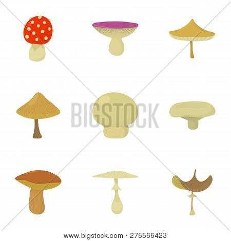 Pileus Icons Set. Cartoon Set Of 9 Pileus Icons For Web Isolated On White Background