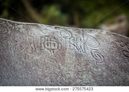 Ancient Carved Figures On Stones In Jayuya Puerto Rico