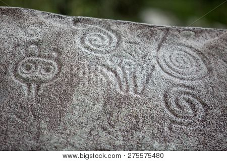Ancient Carved Figures On Stones In Jayuya Puerto Rico