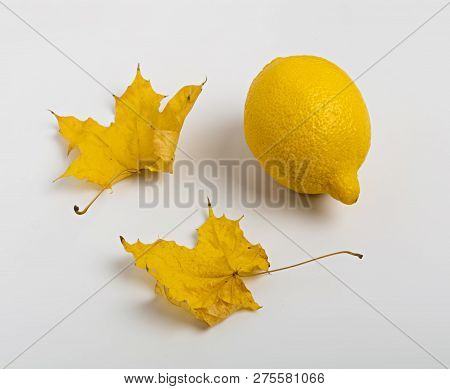 Beautiful Dry Maple Leaf And Lemon On White Wooden Background