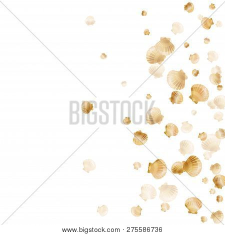Gold Seashells Vector, Golden Pearl Bivalved Mollusks. Aquatic Scallop, Bivalve Pearl Shell, Marine 