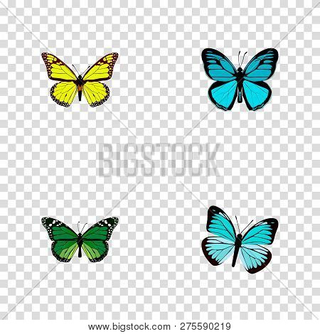 Set Of Butterfly Realistic Symbols With Green Peacock, Yello-wing, Papilio Ulysses And Other Icons F