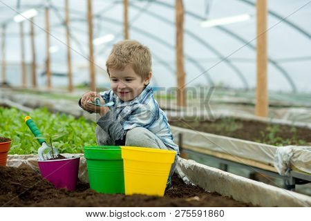 Environment Conservation. Environment Conservation Concept. Concervation Of Environment. Environment