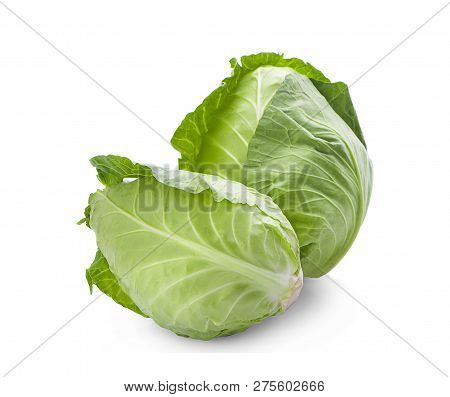 Green Cabbage An Isolated On White Background