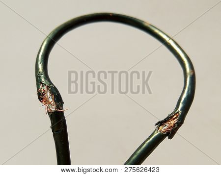 Damaged Black Electric Cord On White Background. Dangerous Broken Power Electrical Cable