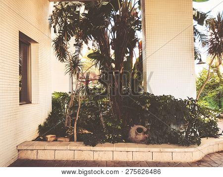 Residential Buildings And Surrounded With Green Plants With Ceramic Jug  In  Rishon Le Zion.